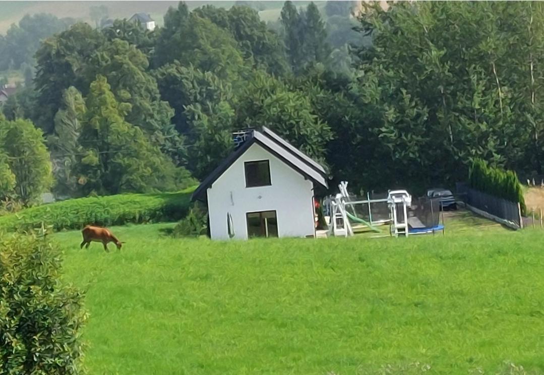 Domek Pod Holica 2 Bieszczady ウストシキ・ドルネ エクステリア 写真