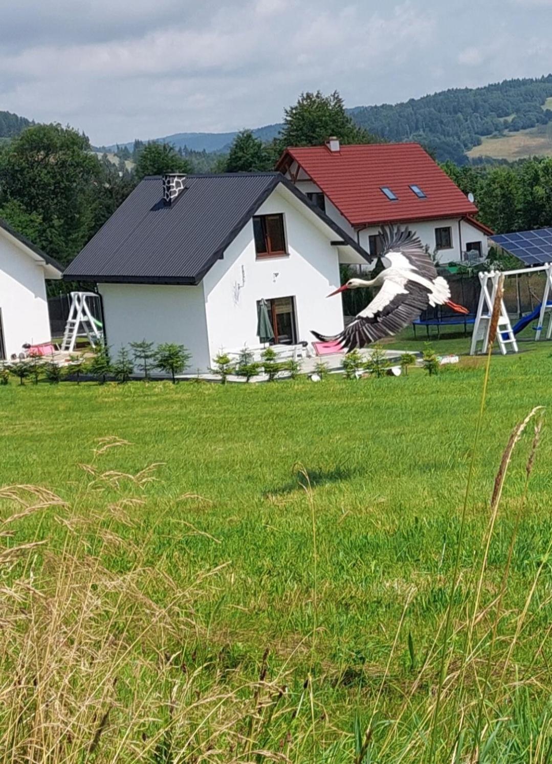 Domek Pod Holica 2 Bieszczady ウストシキ・ドルネ エクステリア 写真